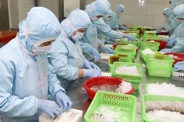 Thưởng Tết ở Cần Thơ: Mức bình quân chỉ hơn 2 triệu đồng, cao nhất bằng một nửa năm ngoái