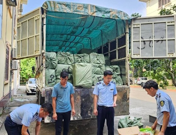 Phát hiện gần 3 tấn thịt vịt và trứng gà non đông lạnh không rõ nguồn gốc