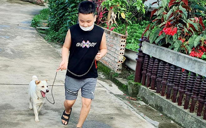 Phòng chống bệnh dại giai đoạn chuyển mùa