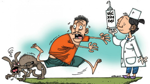 Nghệ An: Hai bệnh nhi tử vong nghi do bệnh dại