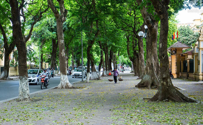 Tin tức dự báo thời tiết hôm nay 15/5: Hà Nội mát mẻ
