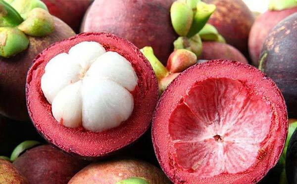  Công dụng thần kỳ của vỏ măng cụt có thể bạn chưa biết