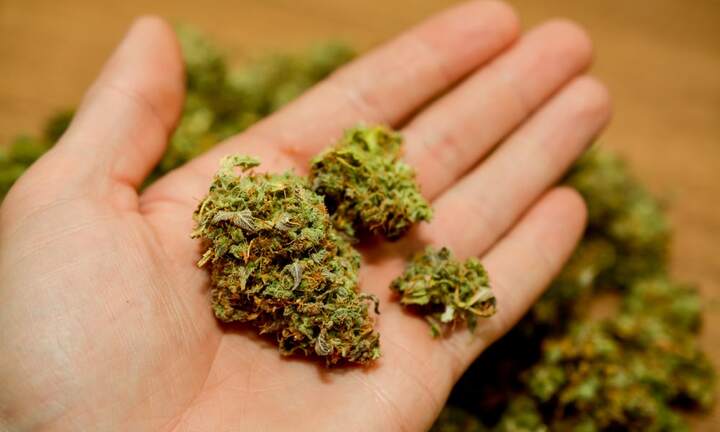 TP.HCM: Nam sinh lớp 9 nhập viện cấp cứu do hút 'cỏ Mỹ' mua gần trường