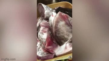 Người phụ nữ “tím mặt” khi thấy con cá mới mua về có hàm răng giống hệt răng người