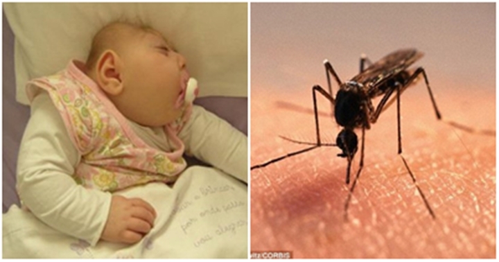 Campuchia phát hiện ca mắc virus Zika sau 7 năm