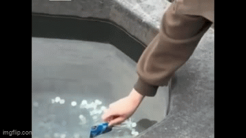  "Dở khóc dở cười " trước khoảng khắc cô gái quẹt thẻ để cầu duyên