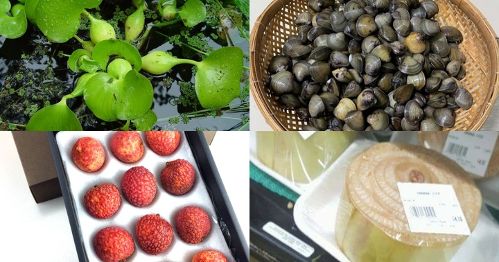 Những thứ bán rẻ như cho ở Việt Nam nhưng lại vô cùng đắt đỏ ở Nhật Bản