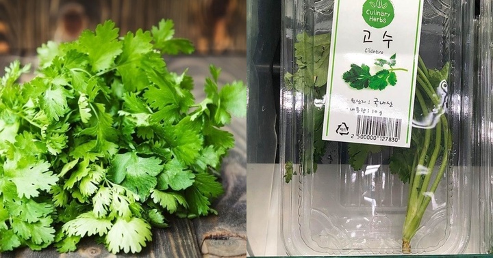 Loại rau gia vị rẻ tiền ở Việt Nam nhưng khi xuất ngoại lại được 