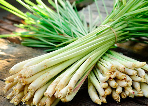 Dừng ăn quá nhiều sả nếu bạn chưa biết hết những tác dụng phụ của loại gia vị này