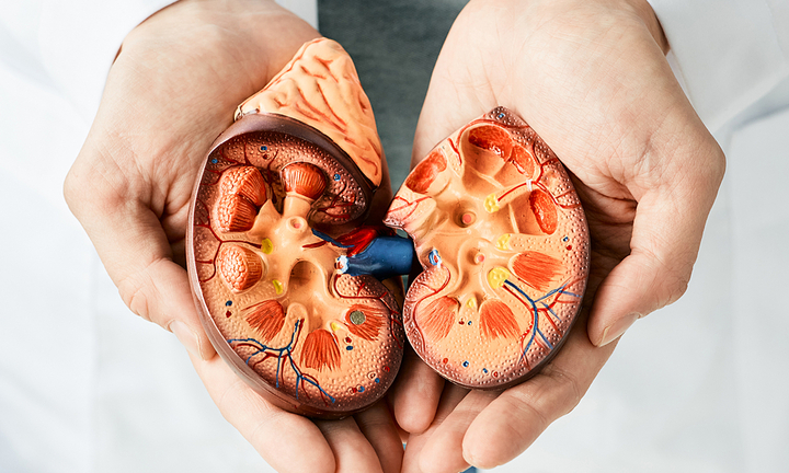 Những thực phẩm cực quen thuộc hàng ngày người bị suy thận nên tránh xa