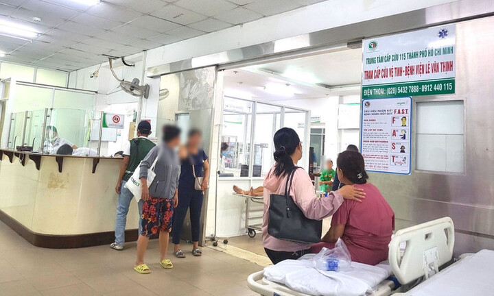 Ba nữ tạp vụ bất ngờ ngộ độc cần sa sau khi ăn socola