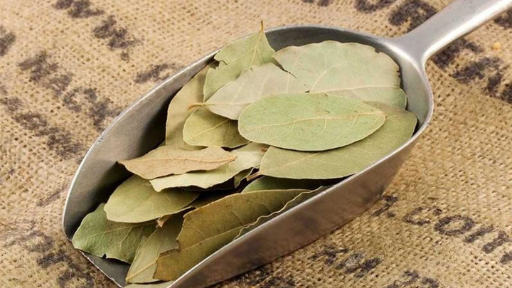 Loại lá dân dã được ví “thuốc bổ của người nghèo” nhưng trị giá hàng triệu đồng/kg tại Mỹ