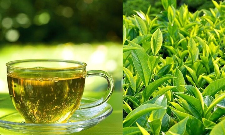 Đừng uống nước chè xanh nếu bạn thuộc một trong những nhóm người này