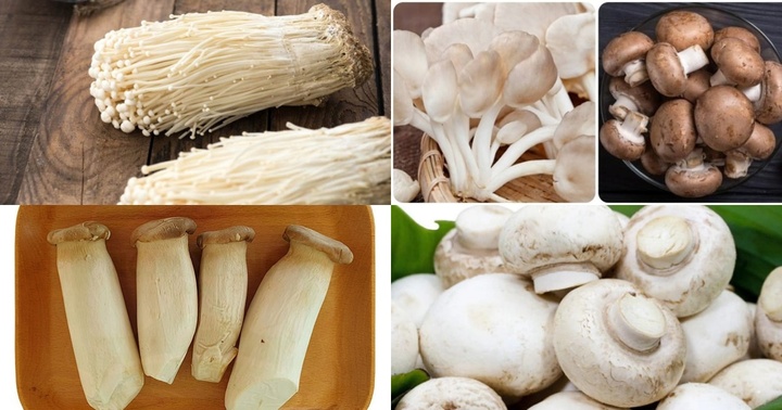 Nấm rất tốt cho sức khỏe nhưng “đại kỵ” với những người này