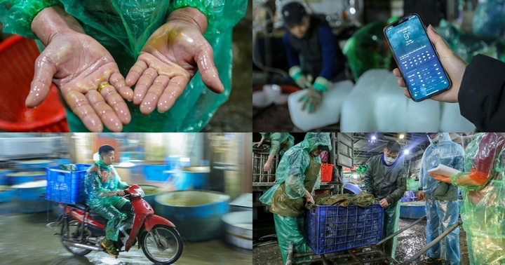Bàn tay đỏ ửng trong nước lạnh, khiêng đá suốt đêm của tiểu thương chợ cá trong thời tiết 9 độ C ở Hà Nội
