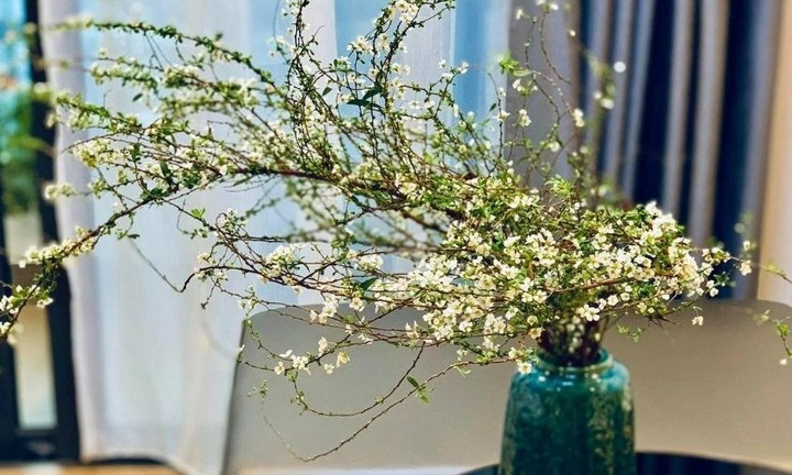 Tại sao cần phải nhúng cành hoa vào nước sôi trước khi cắm?