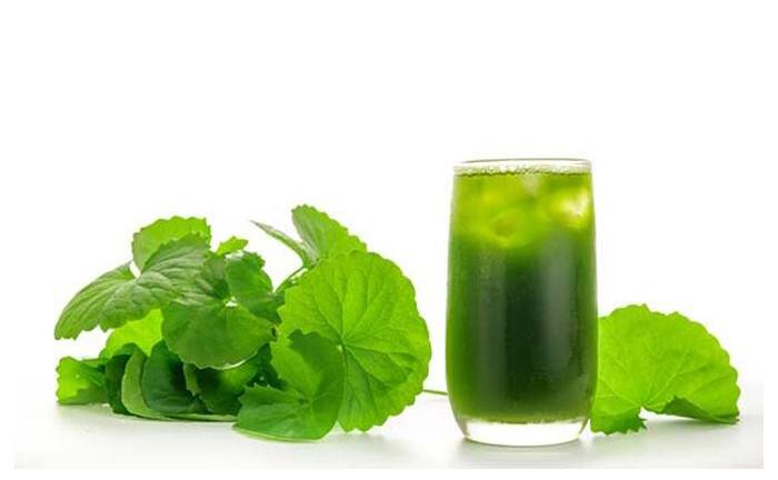 Sẽ thế nào nếu bạn uống nước rau má hàng ngày?