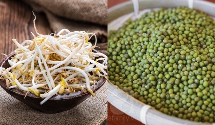 Đừng ăn giá đỗ nếu bạn thuộc một trong những nhóm người này