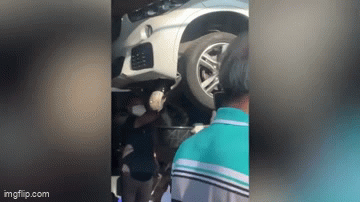 Người đàn ông rợn tóc gáy khi phát hiện con trăn khổng lồ chết trong động cơ ô tô
