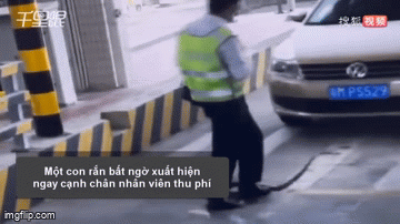  "Bé na " bất ngờ xuất hiện ở trạm thu phí dọa nam nhân viên một phen hú vía