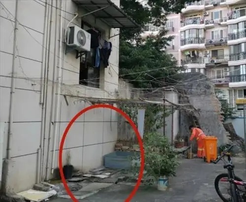 Tưởng tấm ván cũ rích nên đem đi vứt, nhân viên dọn dép không ngờ mình phải ra hầu tòa