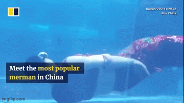  "Chàng tiên cá " khiến dân tình thích thú vì  "cơ bụng 6 múi "