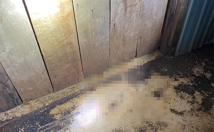 Làm rõ vụ 2 thanh niên bị đâm thương vong khi đang đứng chơi bên đường