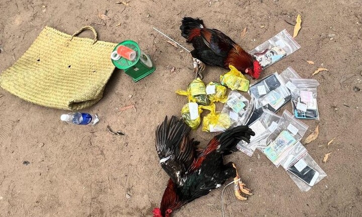 Tin tức pháp luật ngày 11/12: Phá trường gà phía sau một vựa phế liệu ở Bình Dương