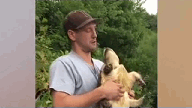 Video: Nam thanh niên bị rùa cắn trúng môi khi chuẩn bị làm hành động này