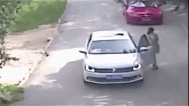 Video: Thấy con gái bị hổ vồ rồi lôi đi, người mẹ lao đến giải cứu và cái kết xót xa