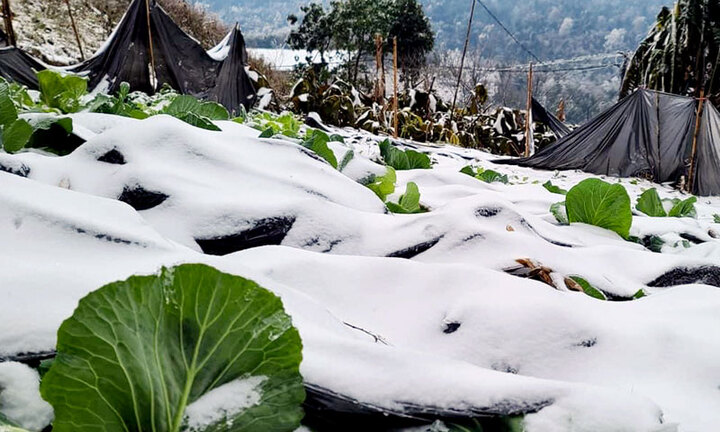Bắc Bộ chuyển rét đậm, rét hại, vùng núi có khả năng xảy ra băng giá, mưa tuyết