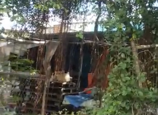 Nghi án con trai chém chết mẹ già 78 tuổi: Công an hé lộ nguyên nhân