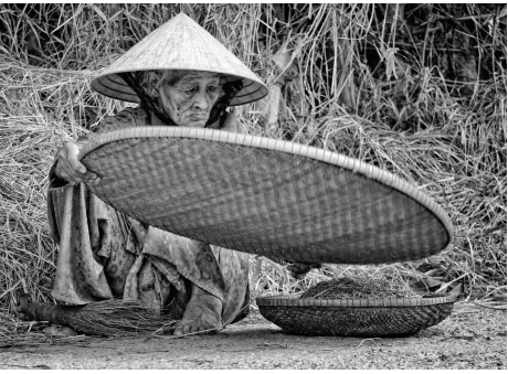 Mùa về trên tay mẹ