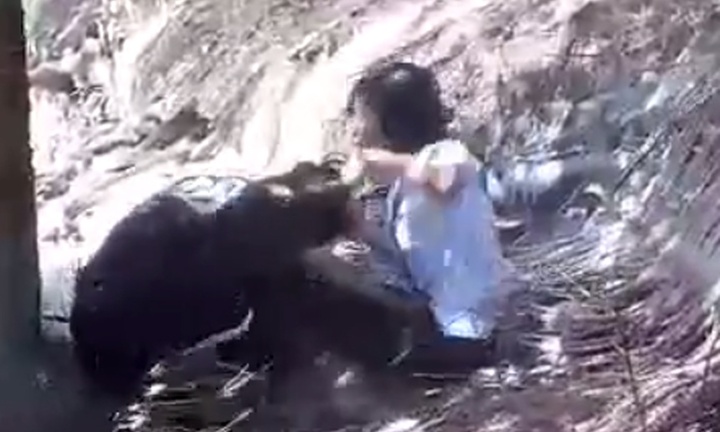 Vụ 2 nữ sinh đánh nhau túi bụi ở vườn dừa: Phó Giám đốc Công an tỉnh Sóc Trăng lên tiếng