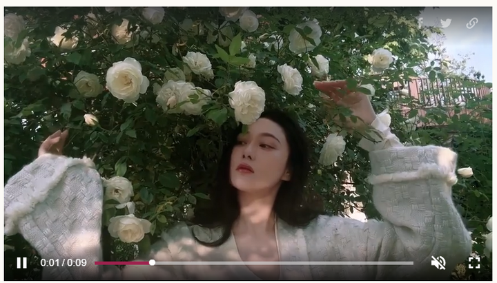 Tin tức sao Hoa ngữ mới nhất ngày 28/4: 'Lý Mạc Sầu' Trương Hinh Dư tạo dáng bên vườn hoa hồng