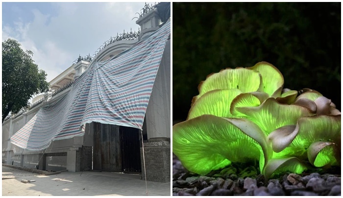 Tin nóng 24h hôm nay ngày 23/11: Phát hiện thanh niên 29 tuổi nằm bất động sau tiếng