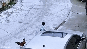 Clip: Thấy gà trống  "ngang ngược " tung cước đá cháu trai, chú lập tức lao tới xử lý