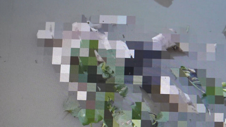 Thi thể nam giới trôi trên sông ở Long An, mặc quần đùi có 3 sọc trắng, đầu không có tóc