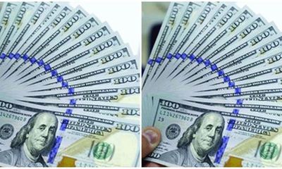 Tỷ giá USD hôm nay 8/12: Đồng bạc xanh giảm trước thềm báo cáo bảng lương phi nông nghiệp của Mỹ
