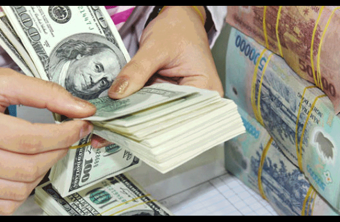 Tỷ giá USD hôm nay 31/1: Đồng USD biến động mạnh ở mốc 103