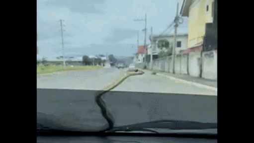 Video: Bé na ngoe nguẩy trên kính chắn gió khiến tài xế hoảng loạn la hét