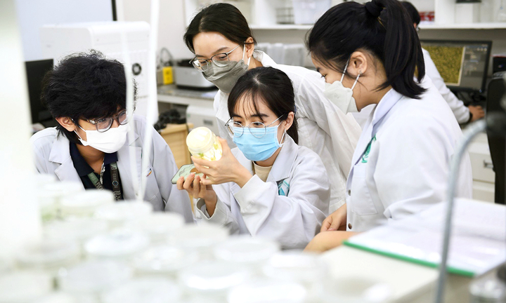 Một trường thành viên ĐH Quốc gia TP.HCM công bố phương án tuyển sinh: IELTS từ 5.0 được quy đổi điểm