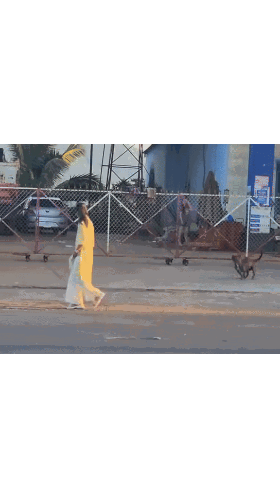 Video: Thích cái cách mà cô gái phản ứng khi bị chó đuổi