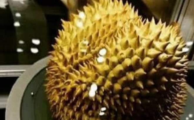 Cáu tiết định đem vứt quả sầu riêng vợ mua hơn 1 triệu, chồng đổi ý ngay tức khắc khi chạm vào
