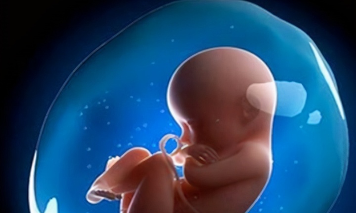 Tin tức đời sống ngày 15/5: Nhìn con mới chào đời, bố sợ không dám bế, bác sĩ lại chúc mừng