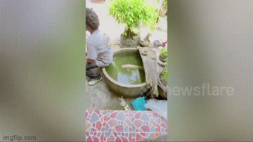Video: Hốt hoảng bỏ chạy vì bị cắn vào mông, người đàn ông ngỡ ngàng trước “thủ phạm”