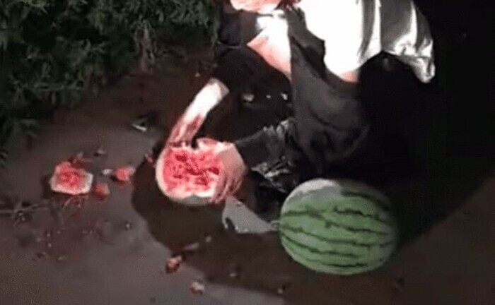 Tóm được kẻ trộm dưa, chủ vườn vừa biết danh tính liền đưa ra hình phạt khiến “nữ tặc” sợ đến già