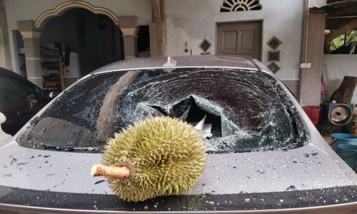 Quả sầu riêng giá 2,7 triệu đồng, tới bộ trưởng của Malaysia cũng muốn mua có gì đặc biệt?