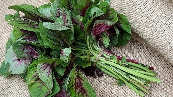 Điểm mặt 6 loại rau giàu canxi hơn cả sữa, mẹ bổ sung ngay để con cao lớn