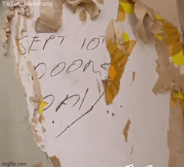 Xé giấy dán tường để sơn lại nhà, cô gái bủn rủn vì đọc được dòng chữ lạ, dân mạng hoang mang theo